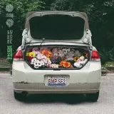 bless-my-psyche-vinyl