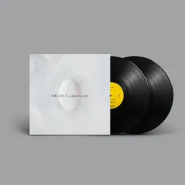 a-ghost-is-born-vinyl