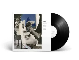 anches-en-maat-vinyl