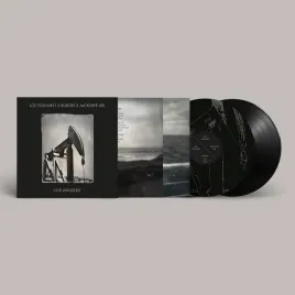 los-angeles-vinyl