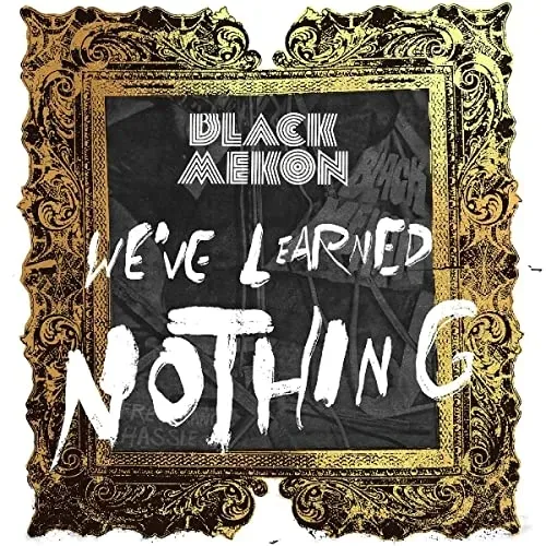 we-ve-learned-nothing-vinyl