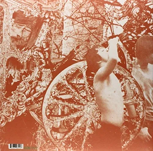 microcastle-weird-era-continued-vinyl