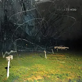 this-stupid-world-vinyl