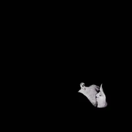 days-gone-by