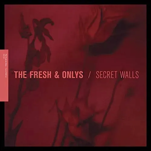 secret-walls-vinyl