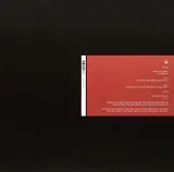 secret-walls-vinyl-rozmiar-s