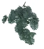 filodendron-monstera-plozaca-76cm