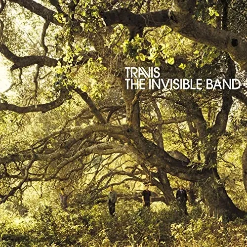 the-invisible-band-rozmiar-s
