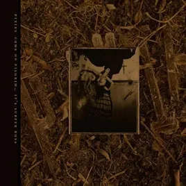 come-on-pilgrim-it-s-surfer-rosa-vinyl