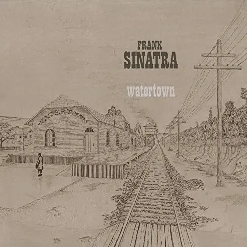 watertown-vinyl-rozmiar-s