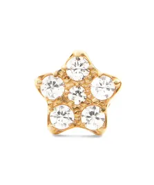 kolczyk-daniel-wellington-crystal-star-stud-gold-dw-dw00400864