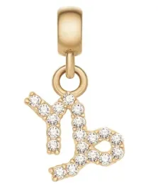 zawieszka-daniel-wellington-charm-gold-capricornus-dw-dw00400763