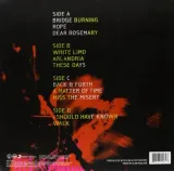 wasting-light-vinyl-rozmiar-s