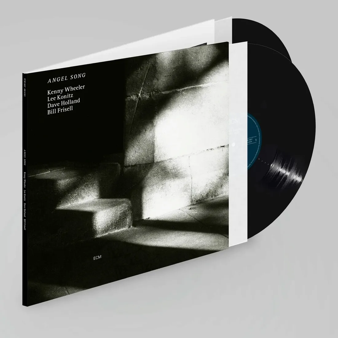 angel-song-vinyl-rozmiar-s