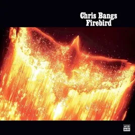 firebird-vinyl