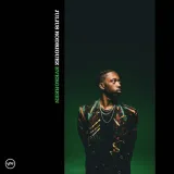 evergreen-vinyl-rozmiar-s