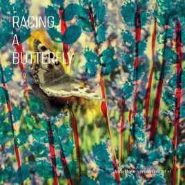 racing-a-butterfly-vinyl