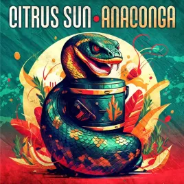 anaconga-vinyl