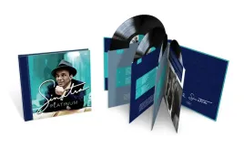 platinum-vinyl