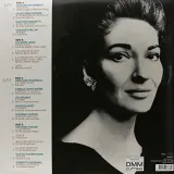 incomparable-vinyl-rozmiar-s