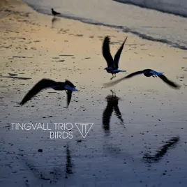 birds-180-gr-black-vinyl-vinyl