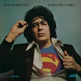 indestructible-vinyl