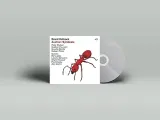 austrian-syndicate-wysokosc-1-cm
