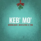 moonlight-mistletoe-and-you