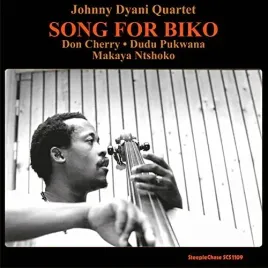 song-for-biko-vinyl