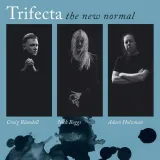 the-new-normal-vinyl
