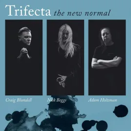 the-new-normal-vinyl