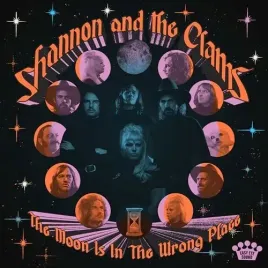 the-moon-is-in-the-wrong-place-vinyl