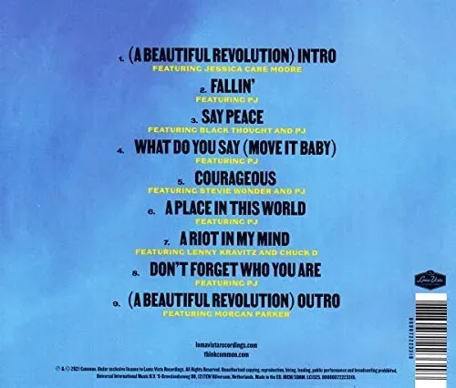 a-beautiful-revolution