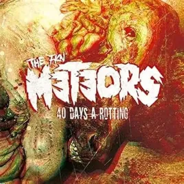 40-days-a-rotting-vinyl