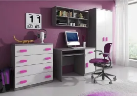 piekne-meble-lui-2-do-pokoju-dzieciecego-mlodziezowego