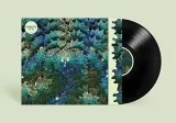 ngo-ma-vinyl