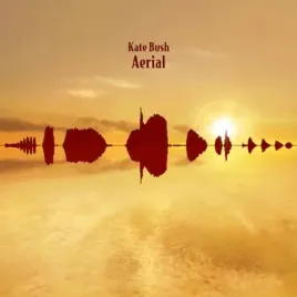 aerial-fish-people-edition-vinyl