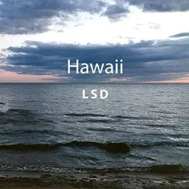 hawaii-vinyl