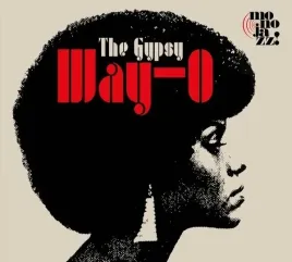 the-gypsy-way-o-vinyl