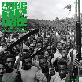 wake-up-you-vol-2-the-rise-and-fall-of-vinyl