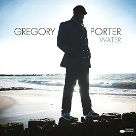 water-vinyl