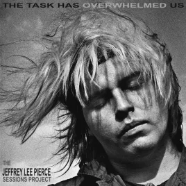 the-task-has-overwhelmed-us-silver-vinyl-vinyl