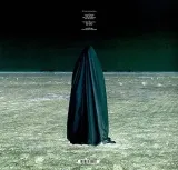 radiation-2013-gatefold-sleeve-2lp-vinyl-rozmiar-s