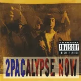 2pacalypse-now-vinyl-rozmiar-s