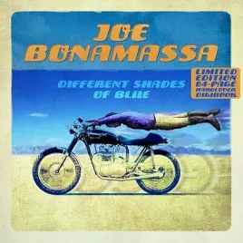 different-shades-of-blue-vinyl