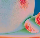 albedo-massima-vinyl