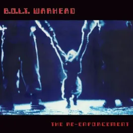 the-re-enforcement-vinyl