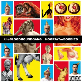 hooray-for-boobies-25th-anniversary-2lp