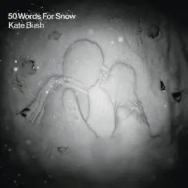 50-words-for-snow-fish-people-edition-vinyl