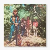green-river-vinyl-rozmiar-s